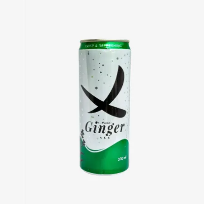 Premium Ginger Ale 330ml